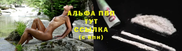 гашик Алексин