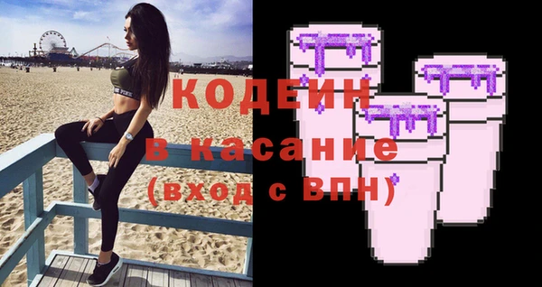 гашик Алексин