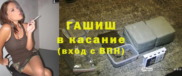 гашик Алексин