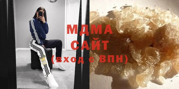 гашик Алексин