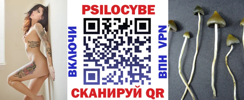 Псилоцибиновые грибы GOLDEN TEACHER  Кашин 